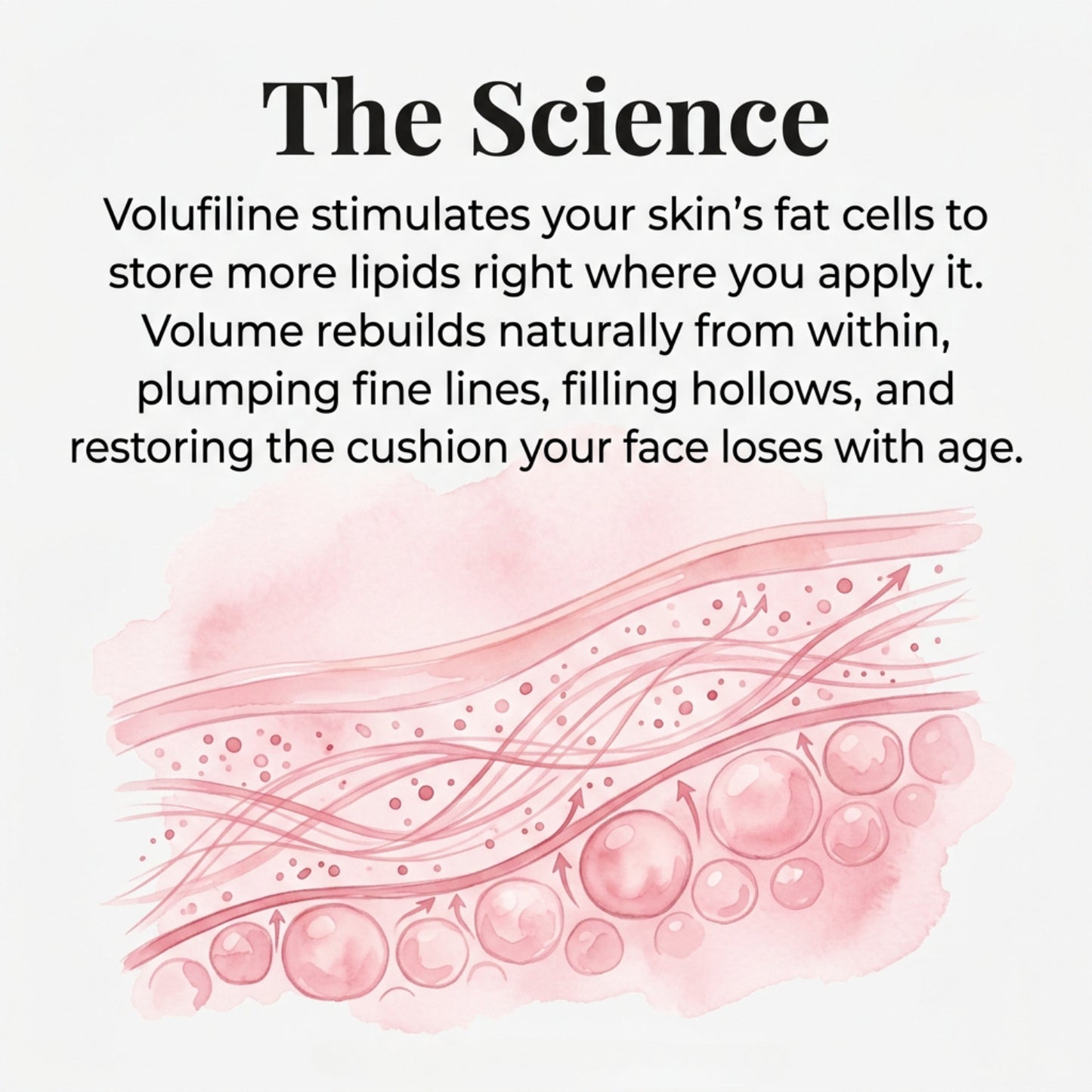 ✨Pink Collagen Anti-Aging Balm Stick