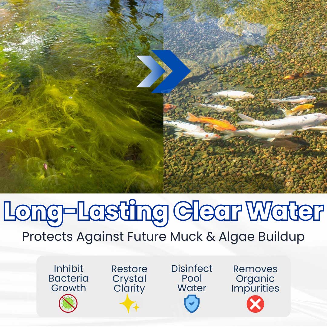 ✨ From Green to Clean Overnight! |⏱️ Crystal Clear in 24 Hours! | OLIOKINDRED® Pro Formula