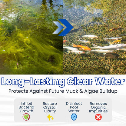 ✨ From Green to Clean Overnight! |⏱️ Crystal Clear in 24 Hours! | OLIOKINDRED® Pro Formula