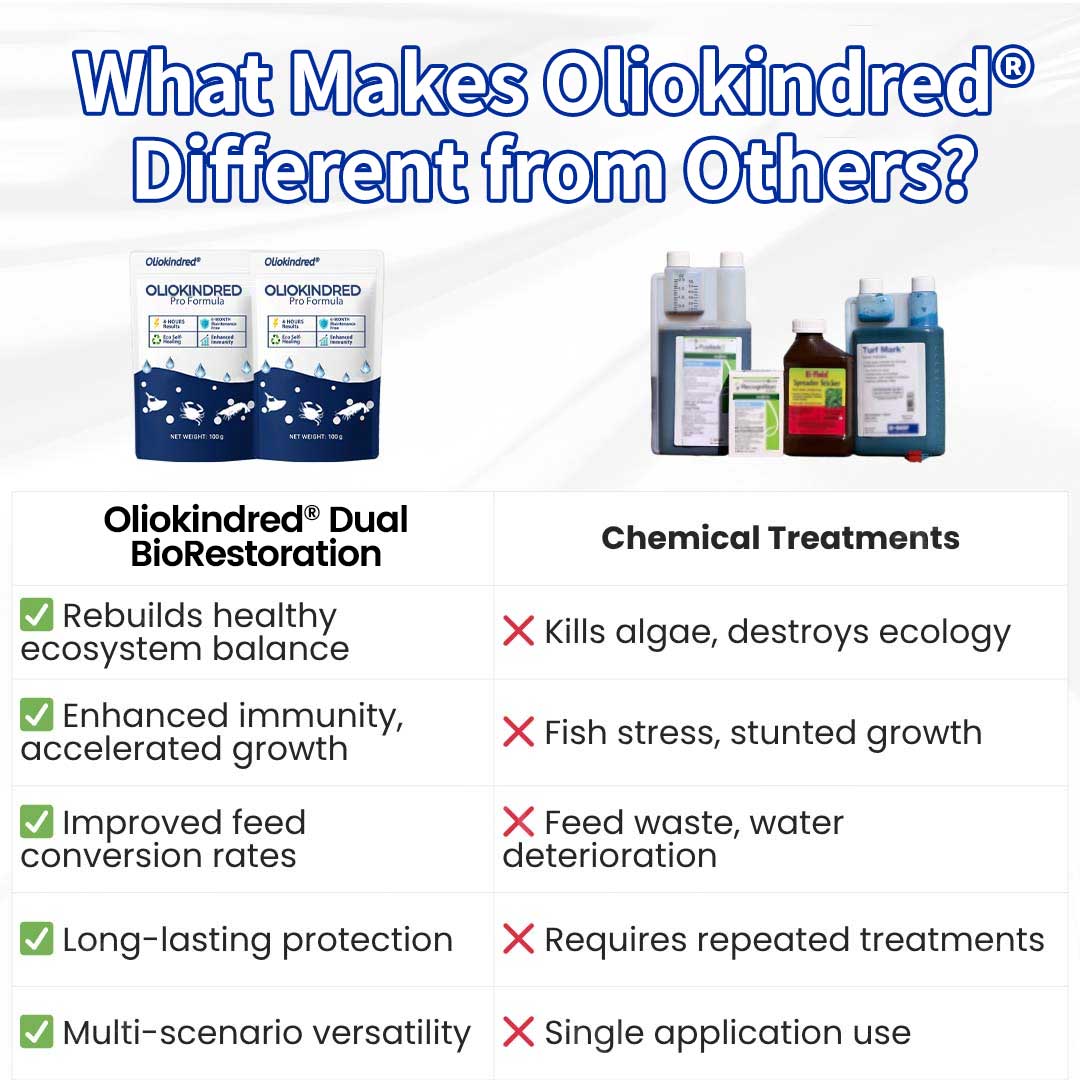 ✨ From Green to Clean Overnight! |⏱️ Crystal Clear in 24 Hours! | OLIOKINDRED® Pro Formula
