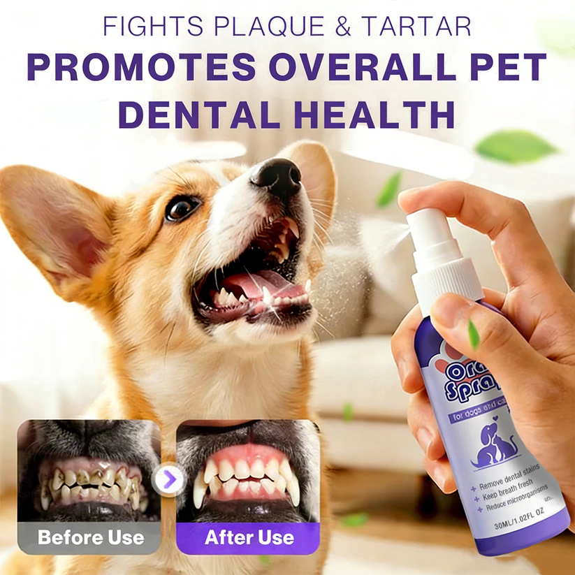 Oliokindred™ Pet Oral Spray ✅FDA Approved | Freshen Breath, Remove Tartar & Promote gum regeneration, stabilize teeth 🦷🦷