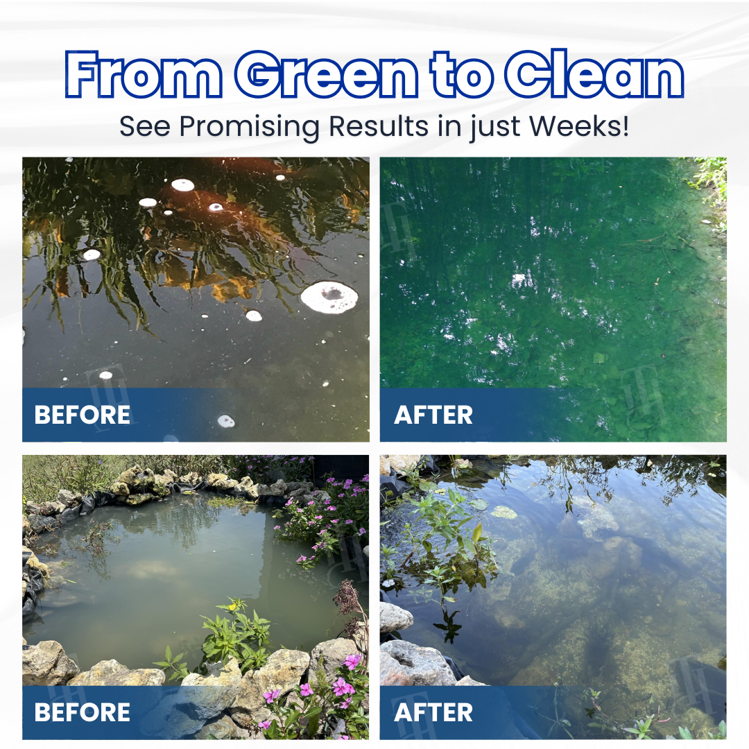✨ From Green to Clean Overnight! |⏱️ Crystal Clear in 24 Hours! | OLIOKINDRED® Pro Formula