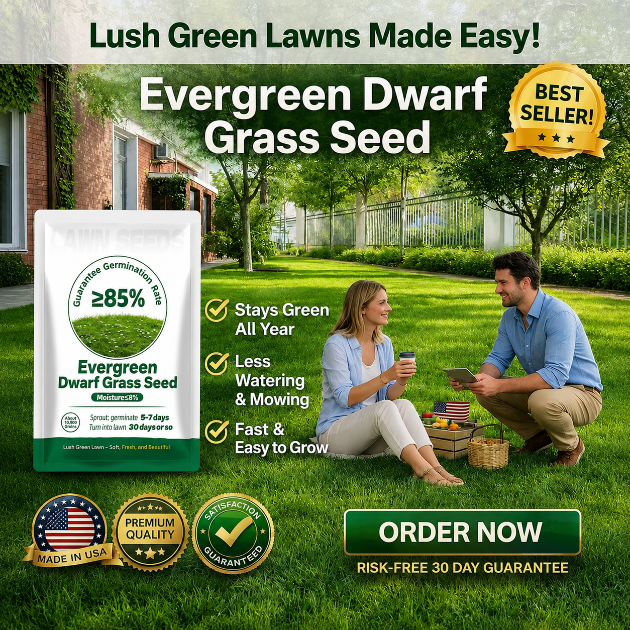 🔥Last Day Promotion 49% OFF🔥🌱2026 Evergreen Dwarf Grass Seed for Four Seasons| Durable, Vibrant Green All Year
